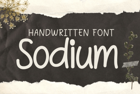 Sodium: A Handwritten Font for Business Branding